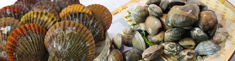 マルカ水産の貝類（さざえ・大アサリ・檜扇貝等）